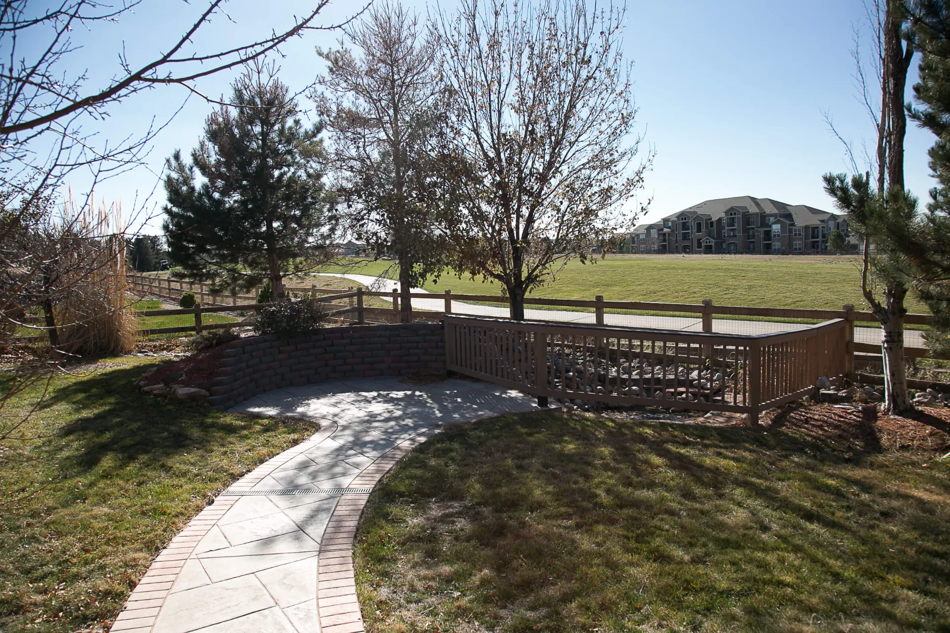 The back yard with foliage and walking path.